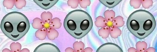 lilykdi's profile banner image