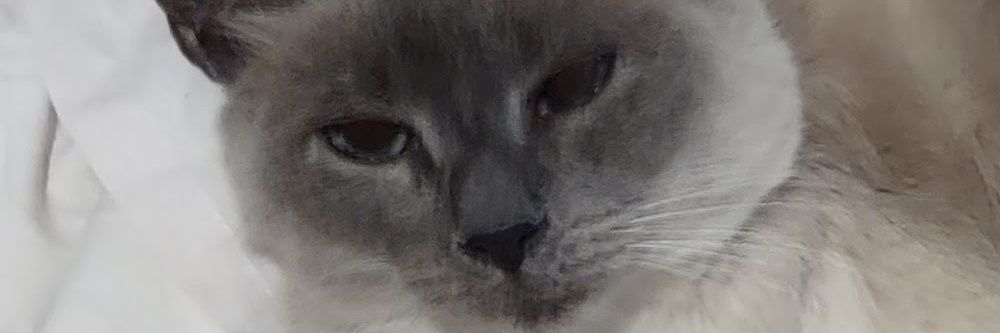 EdwardCannon's profile banner image