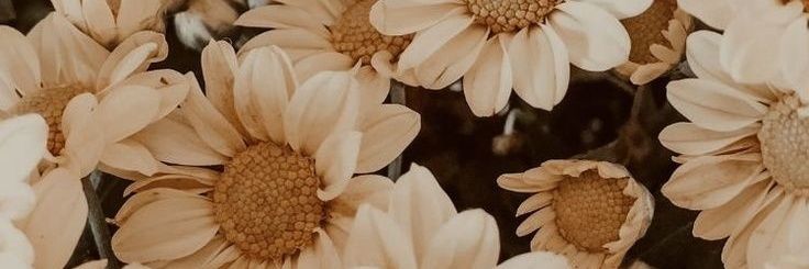 onequim's profile banner image