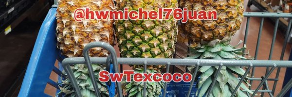 hwmichel76juan Profile Banner