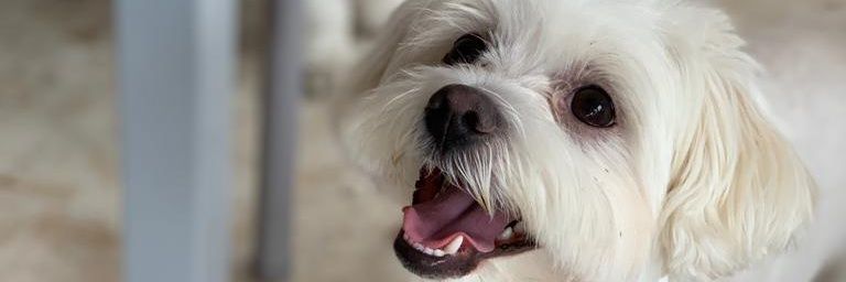 Iness71's profile banner image