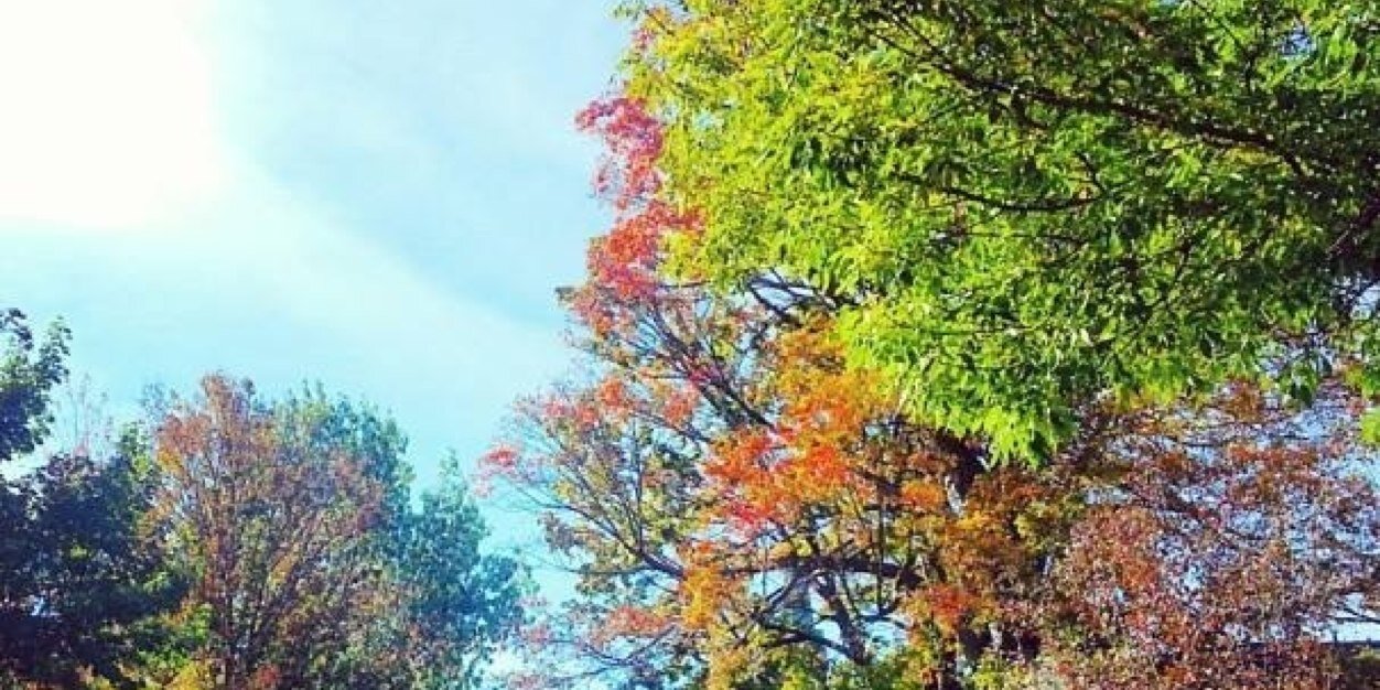 MPircer's profile banner image