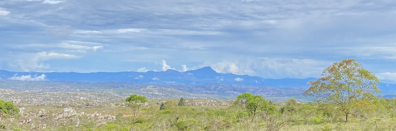 RenatoDuarte's profile banner image