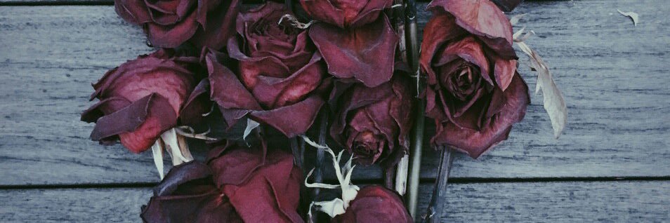 mikhailimaan's profile banner image