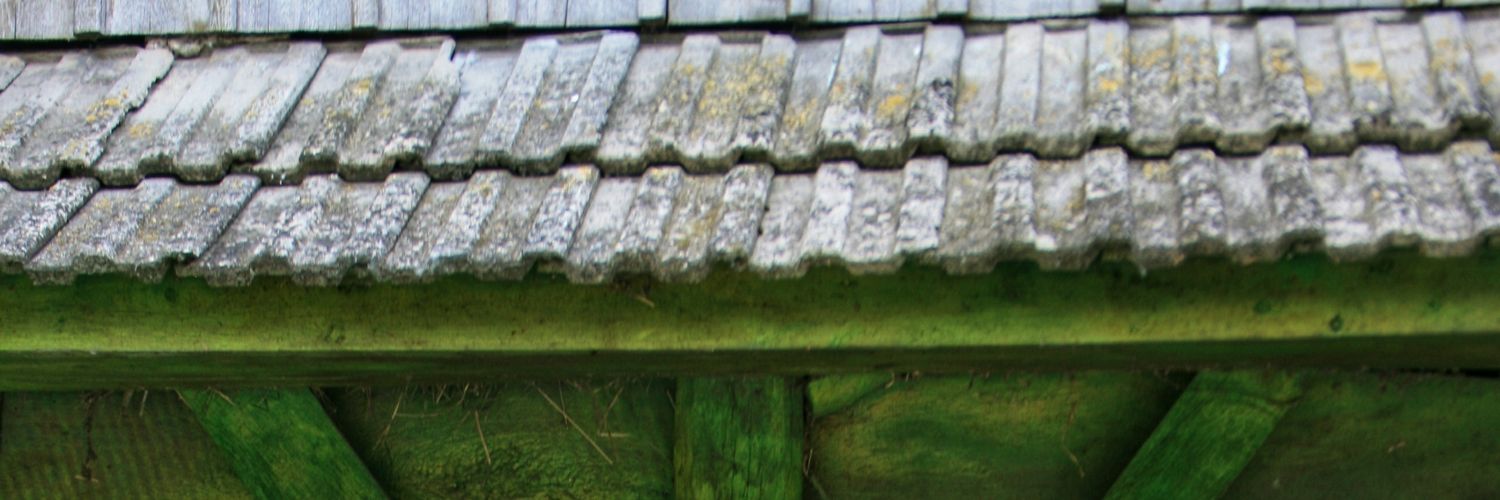 dyvnasum's profile banner image