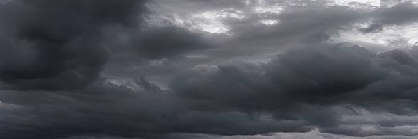 _WDD4 Profile Banner