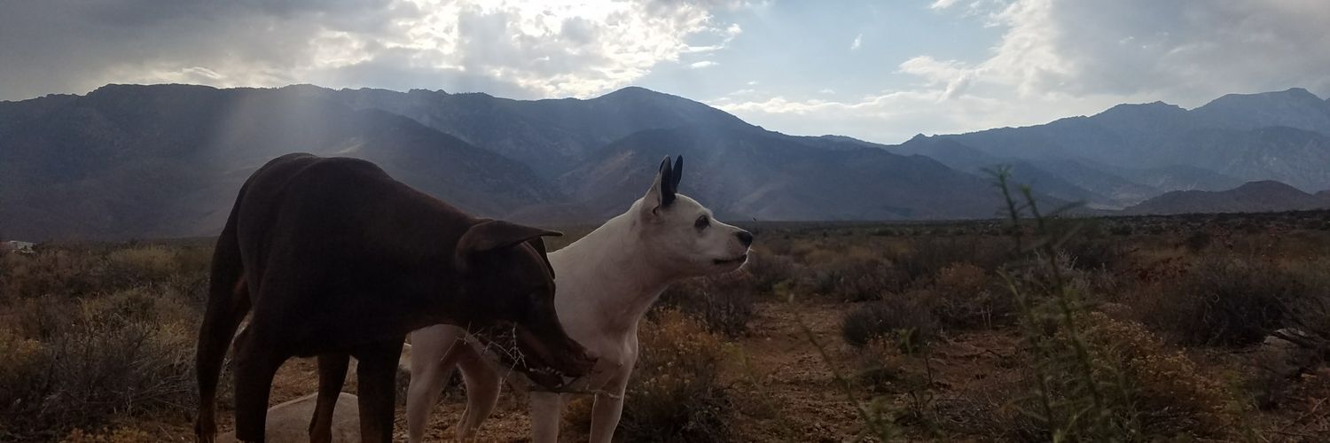 JahRyann's profile banner image