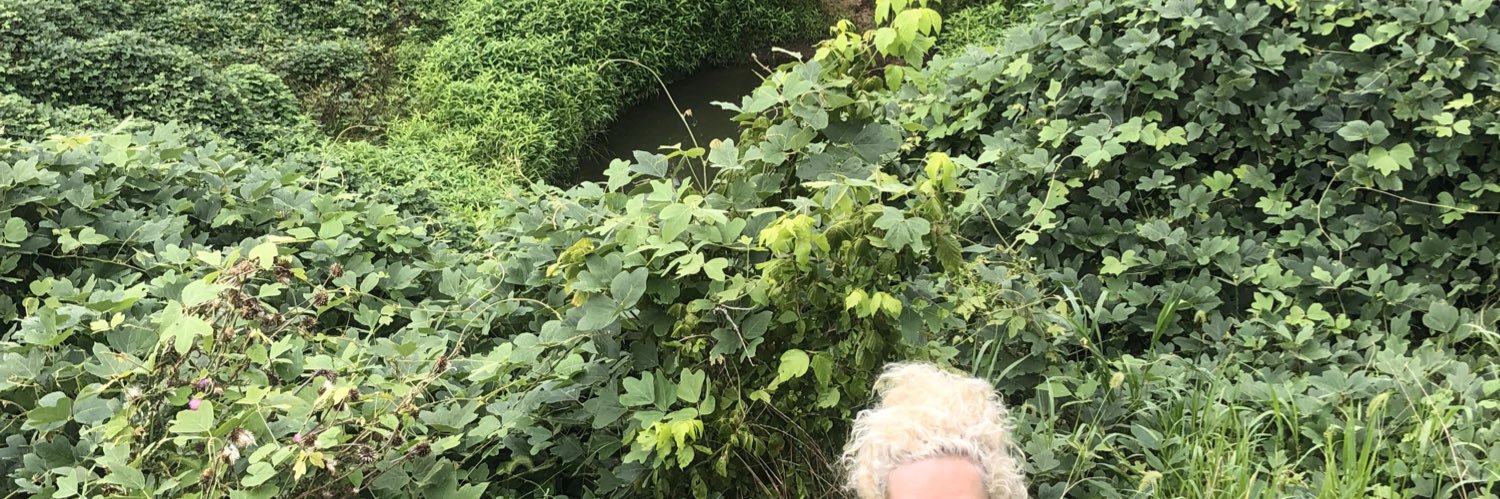 ProsperHedges's profile banner image