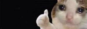 LifeHuhu's profile banner image