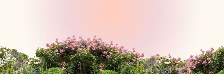 arin ²⁶ ୨୧ ₊ﾟfree tag¡ banner