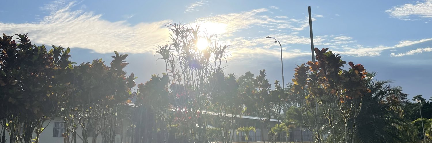Alis 🐶🐱🦋 banner