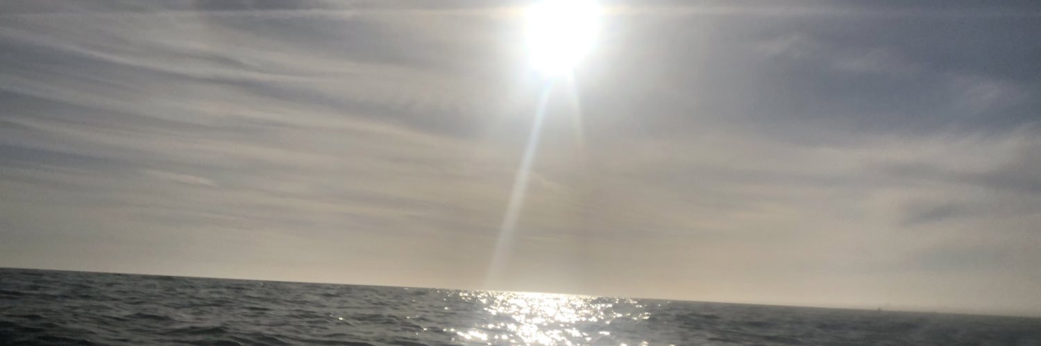 meliRmartinez banner