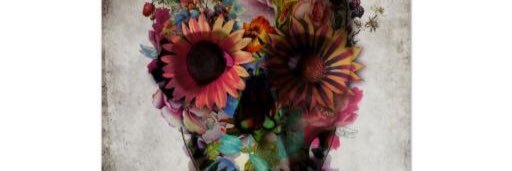dinoraperez's profile banner image