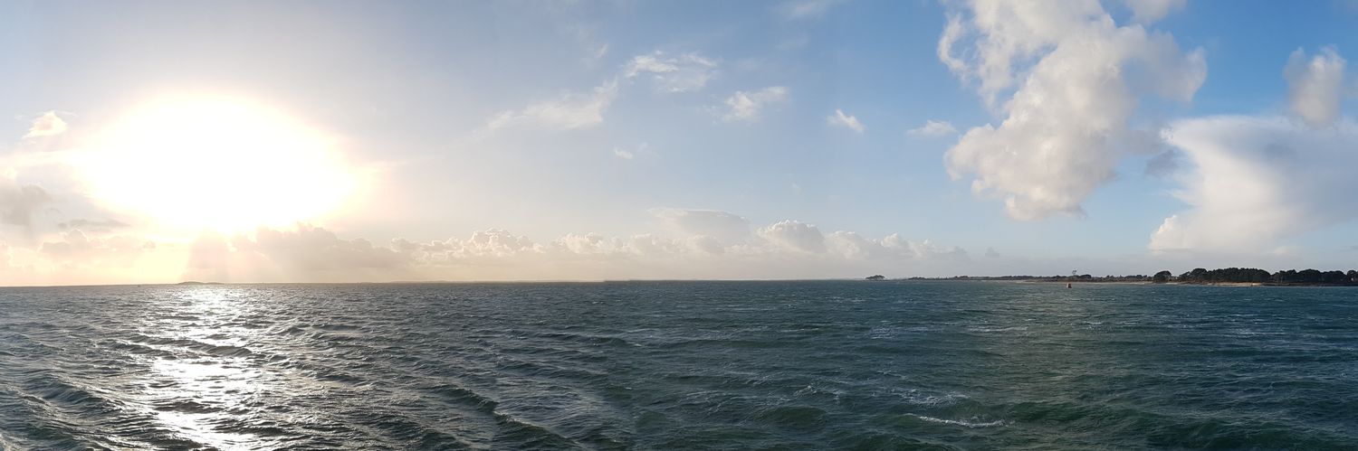 Franck ANDRIANO 🍃 banner