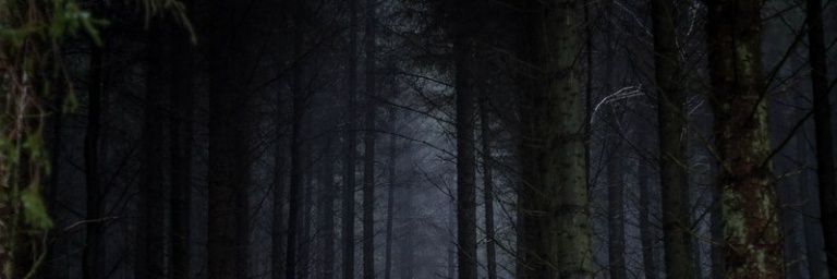 Jenaimarre99's profile banner image