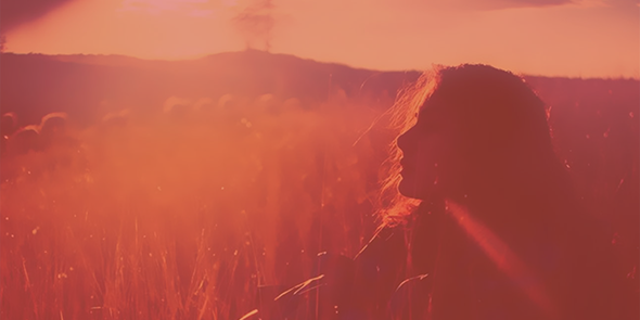 bepleez's profile banner image