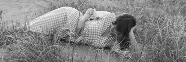 papercutpattern Profile Banner