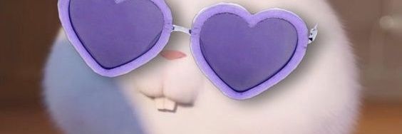 Salmaglc's profile banner image