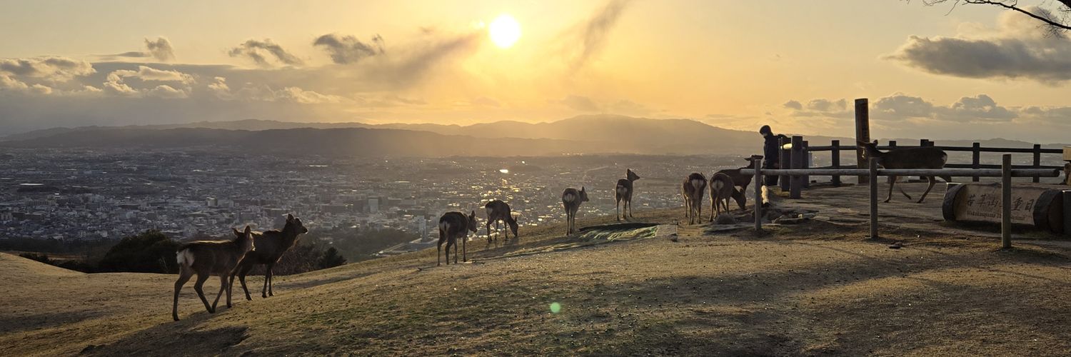 このはる🐰 banner