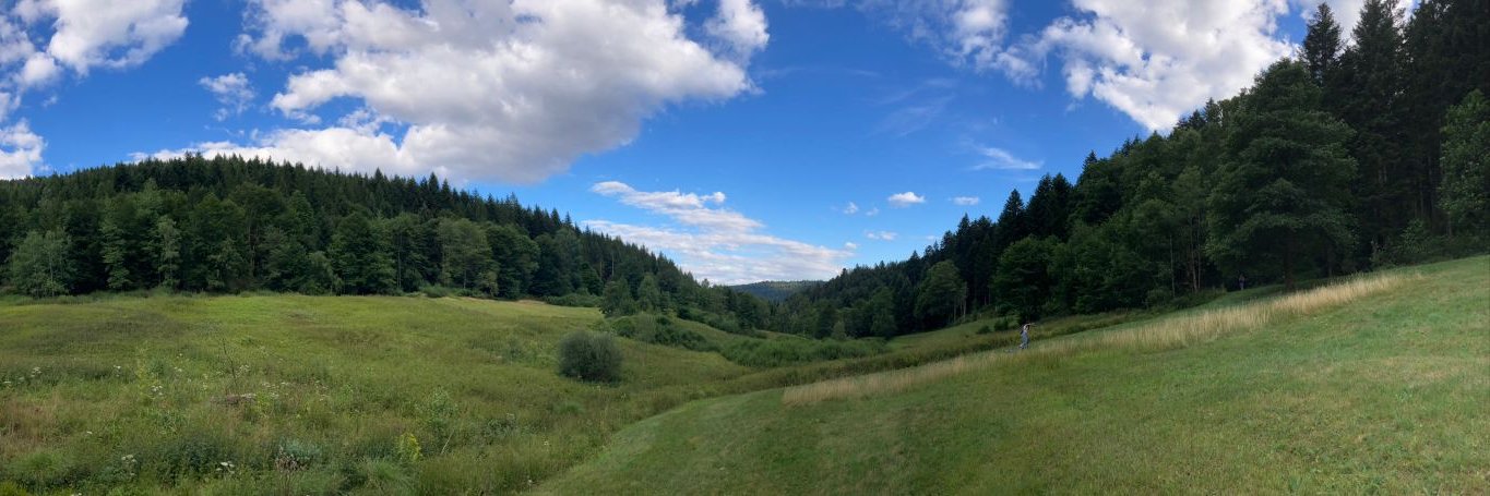 F4 Symposium - Future PhDs For Future Forests banner