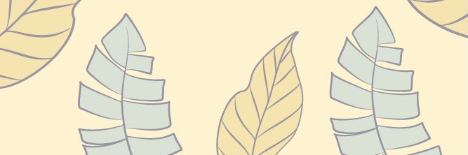 🐰XIAOSORN💗 banner