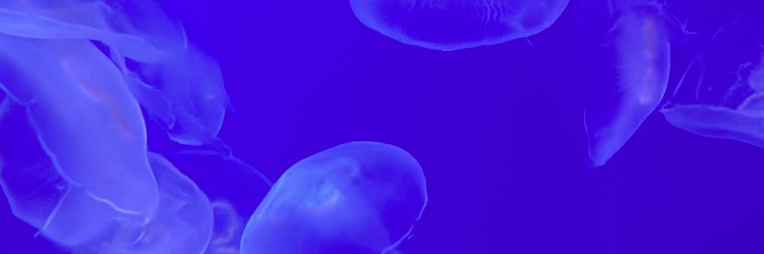 ncyu04's profile banner image
