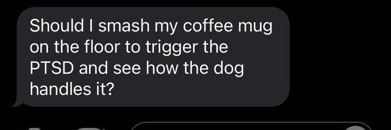 boyishrodent 2 banner