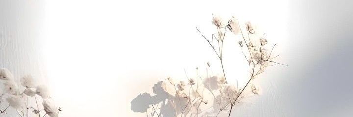 rain_392's profile banner image