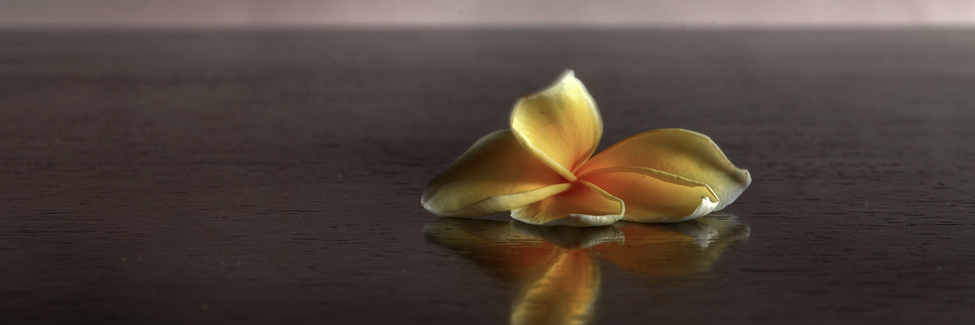 LoveArt's profile banner image