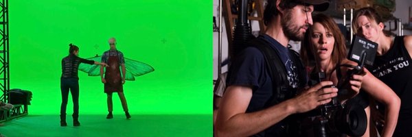 tarynoneill Profile Banner