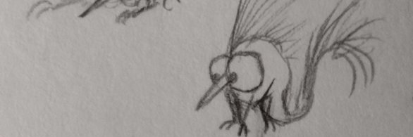 probablyeyes's profile banner image