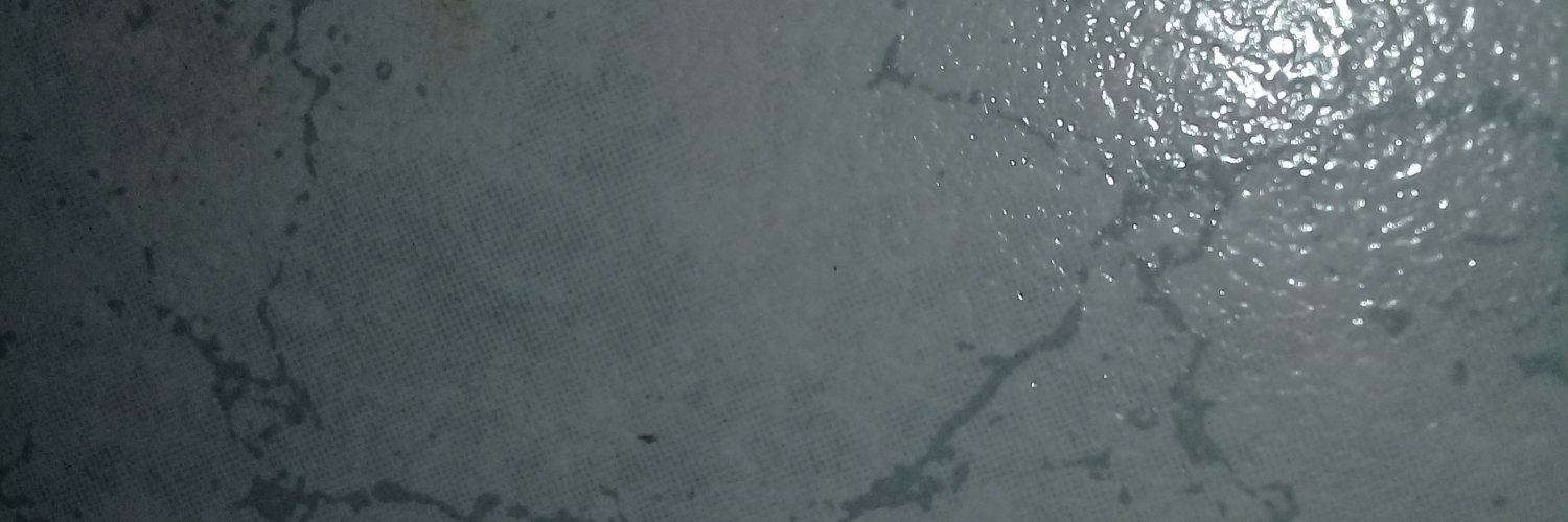 pilarff's profile banner image