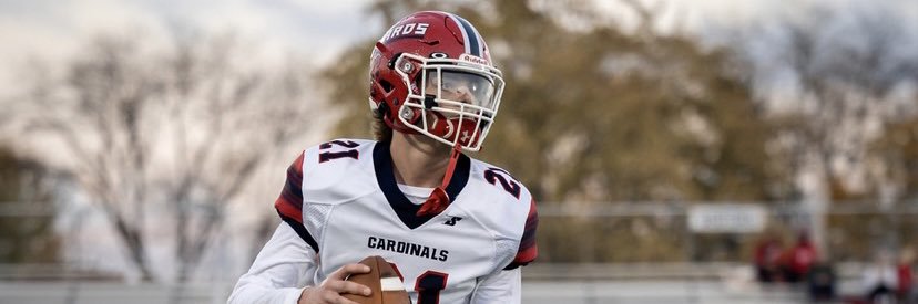 dominicparini.lax26 banner