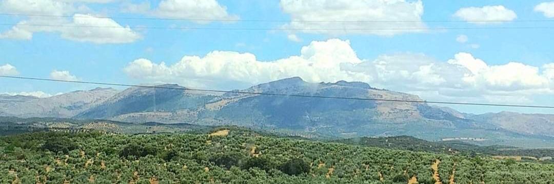 A.A. Ferguson 🇬🇧 banner