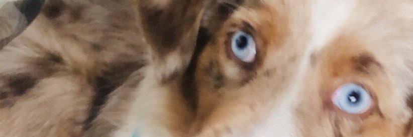 mcbrayercl's profile banner image