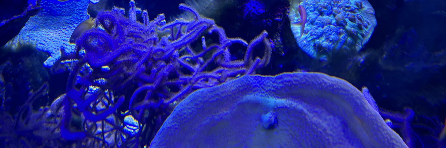 Nano7x1's profile banner image