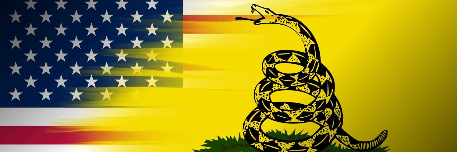 ___Skyfire___ banner