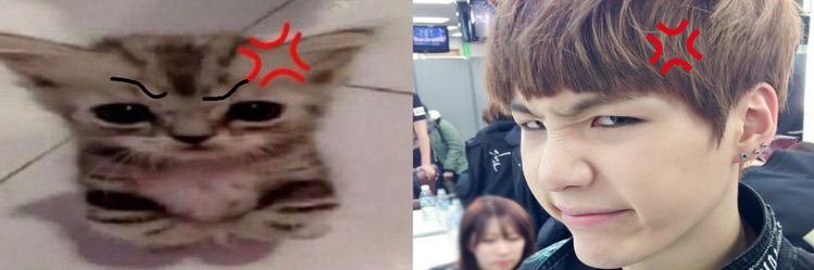 😵‍💫😵‍💫😵‍💫 banner