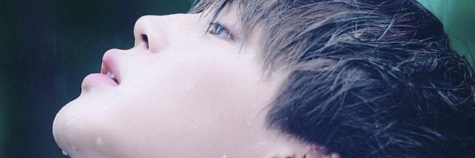 うじぴー공유🐤🐹🐴🐻🐨🐱🐰 banner