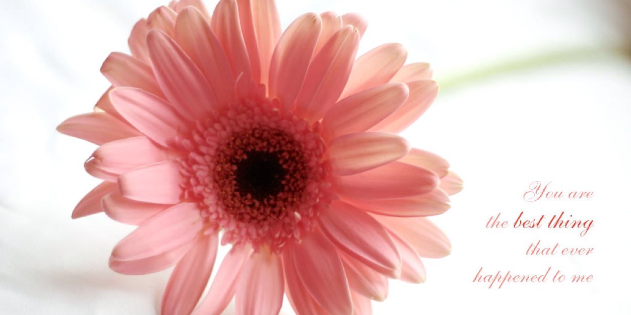 Lia_Ch's profile banner image