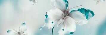 Marferpenna's profile banner image