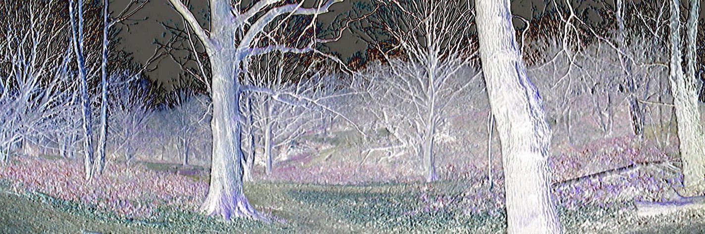pagan386's profile banner image
