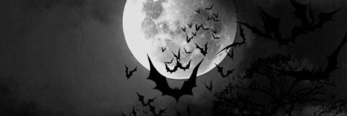 ✞ vสmקire ✞ banner