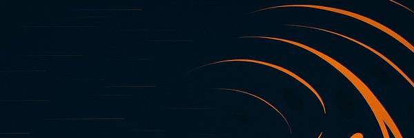 NoFeeSwap Profile Banner