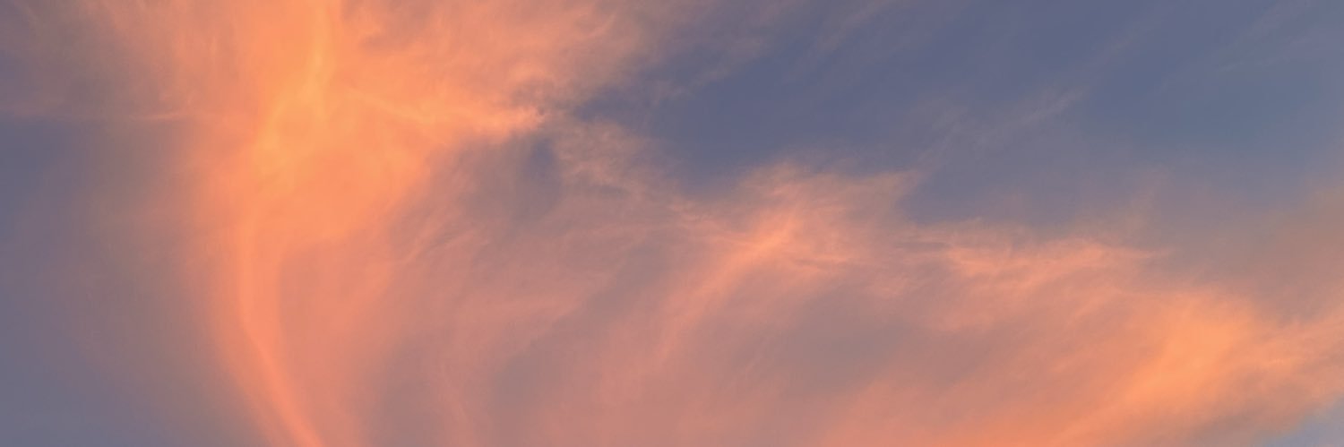 emilioneedsher's profile banner image