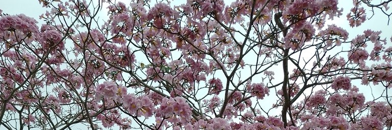 varela2207's profile banner image