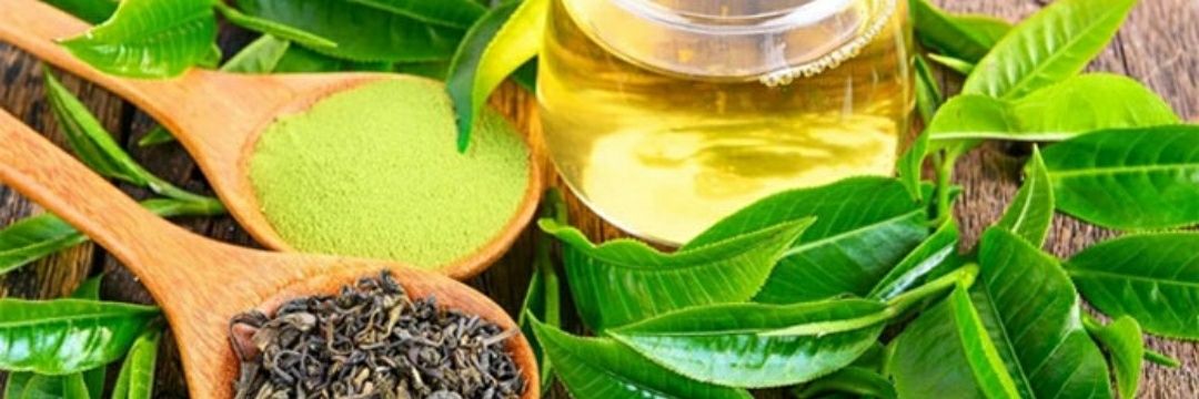 Supplements Manufacturer banner