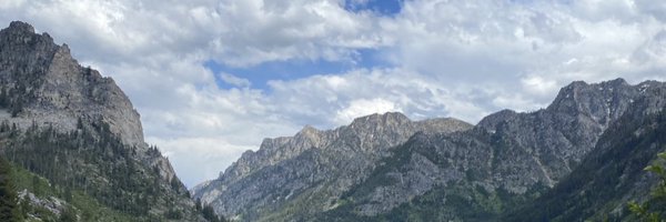 Lemommeringue Profile Banner