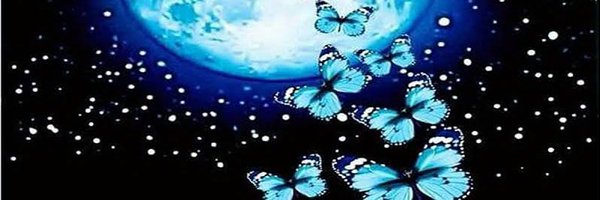 paigieenicole2 Profile Banner