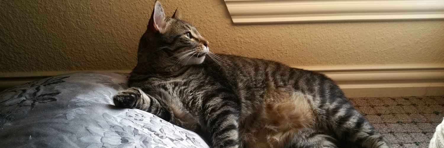 Another Castle (Junkwaxlife) banner